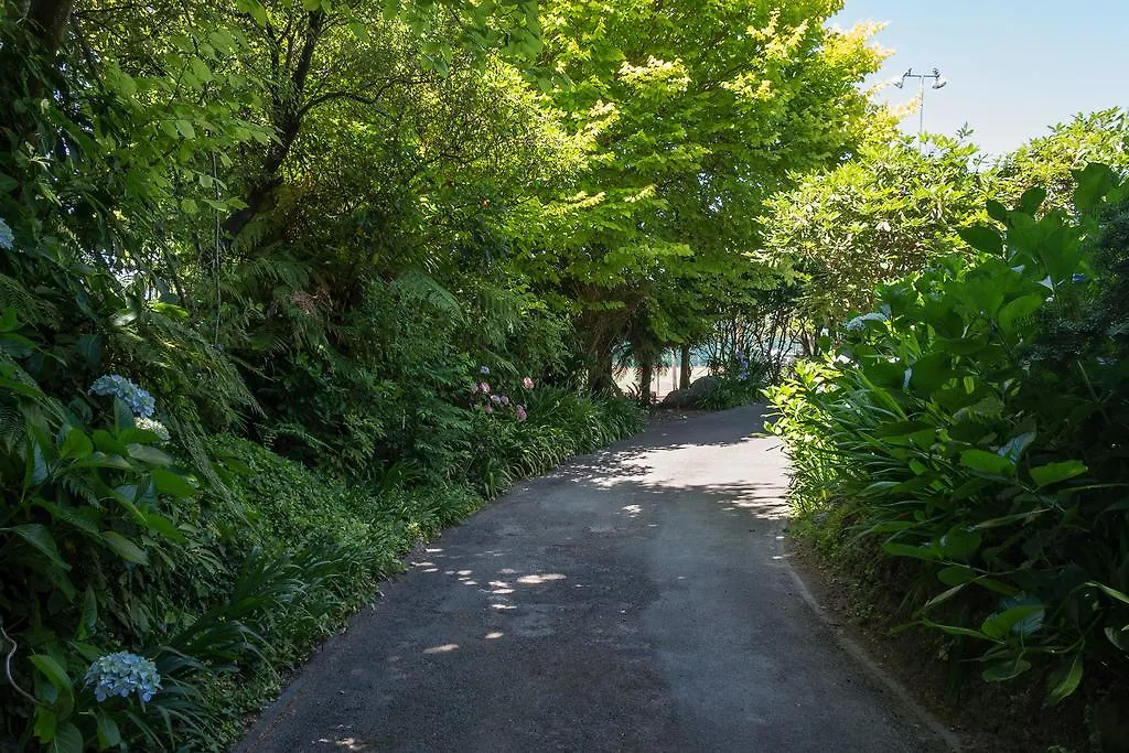 The Flying Trout Boutique Lodge Taupo New Zealand